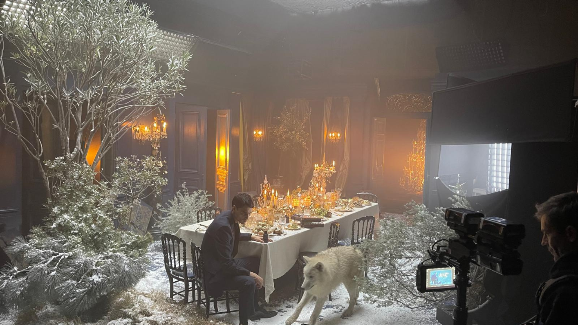 image.alternativeText